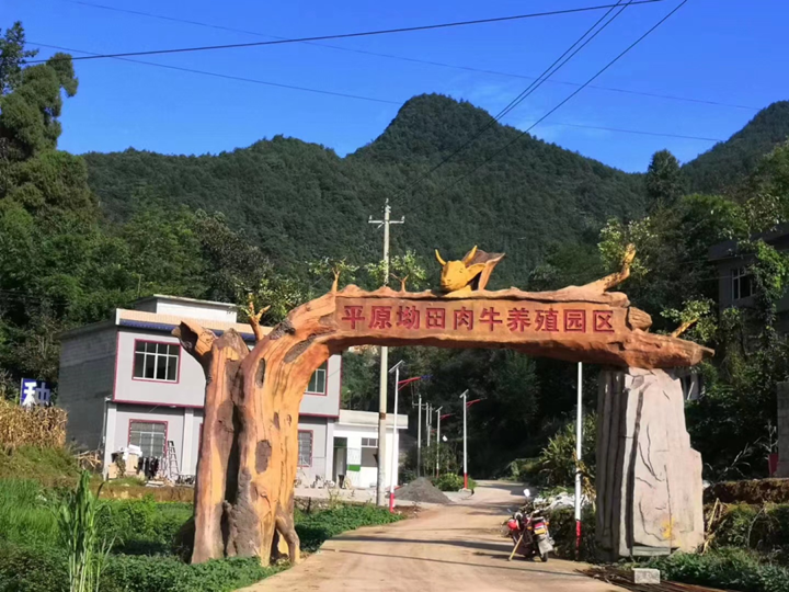 微信图片_20221103153646_副本.png