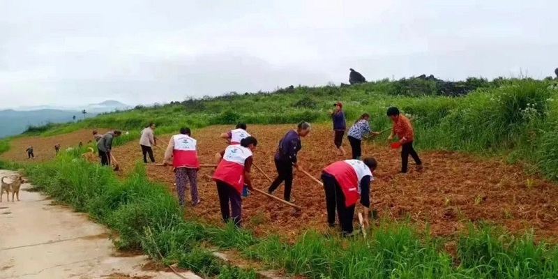 1652254332580_微信图片_20220511132007.jpg