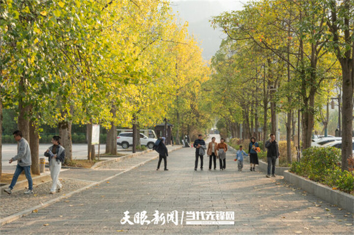 微信图片_20221128164944.jpg