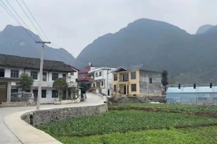 微信圖片_20221213164206.jpg
