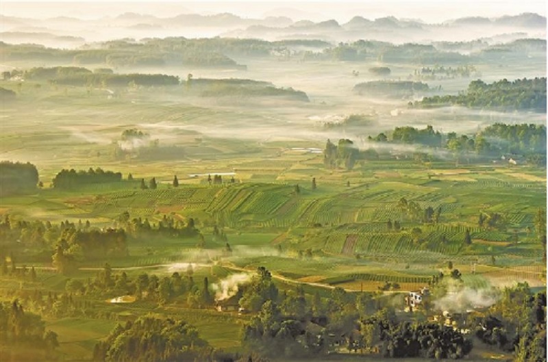 1670569377259_1.jpg
