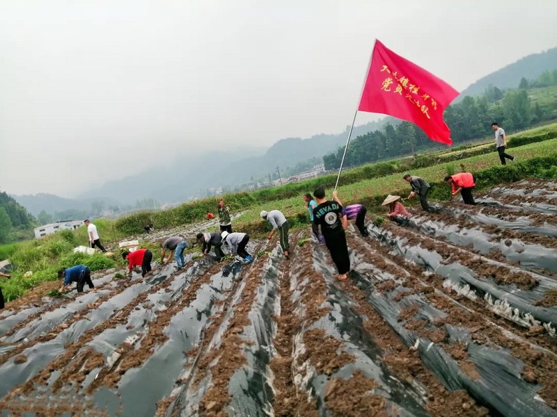 1671097062357_微信图片_20221215173611.jpg