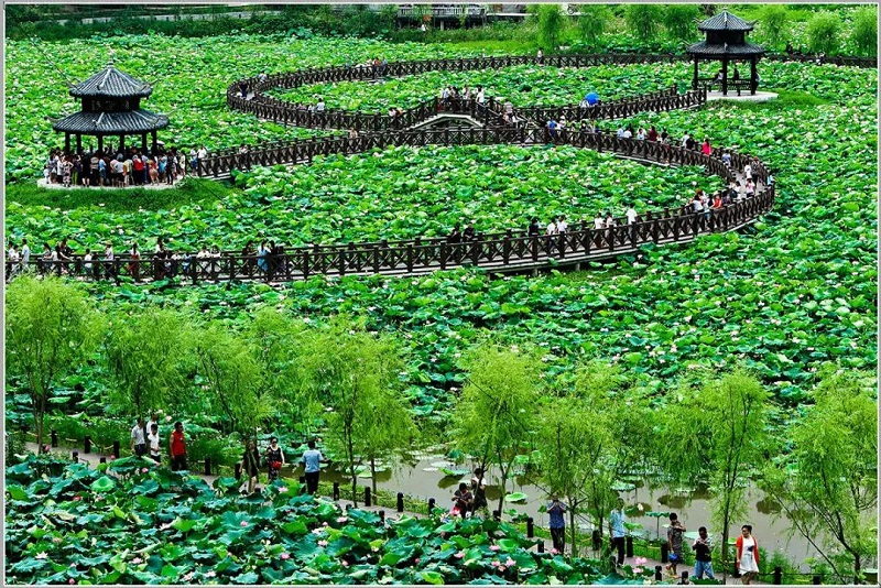 1671436240860_微信图片_20221219154922.jpg