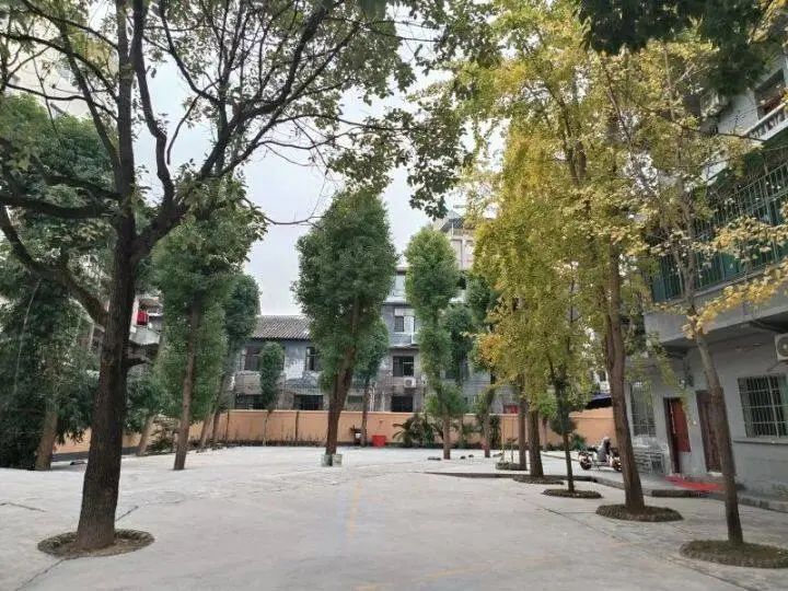 微信图片_20221226100317.jpg