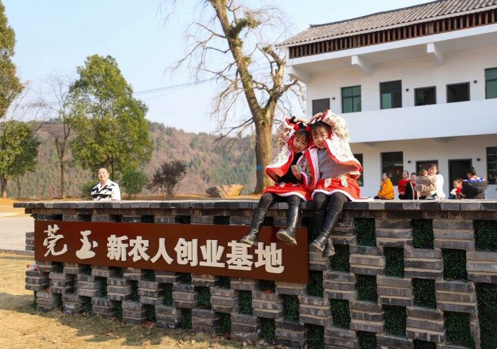 微信图片_20230202102118_副本.jpg