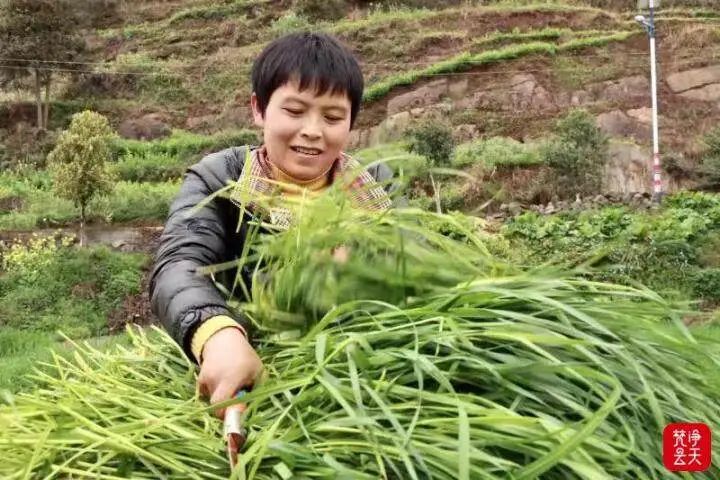 微信图片_20230216155853.jpg