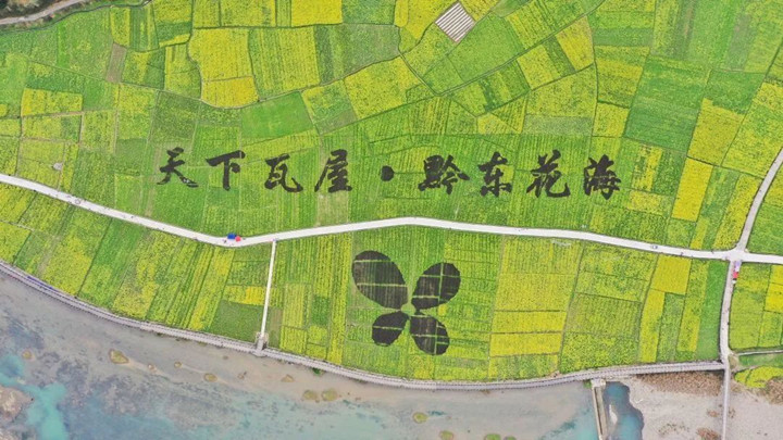 微信图片_20230221112804_副本.jpg