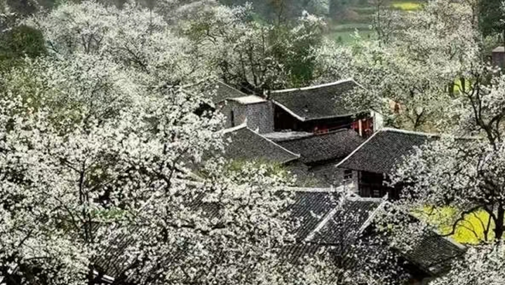 微信图片_20230221112841_副本.png
