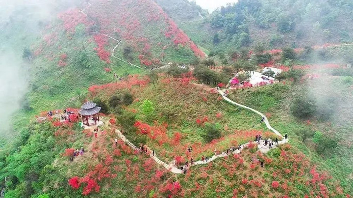 微信图片_20230221113109_副本.jpg