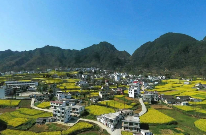 微信圖片_20230404101253_副本.png