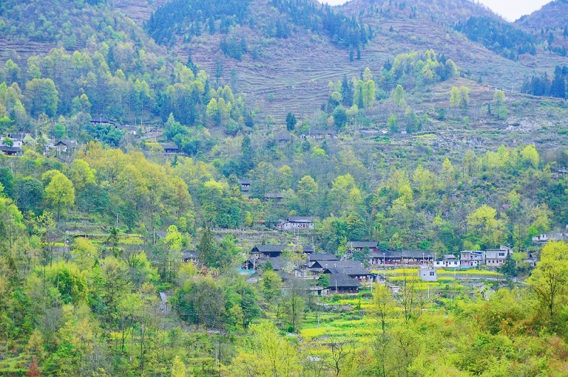 1681095357040_1.jpg