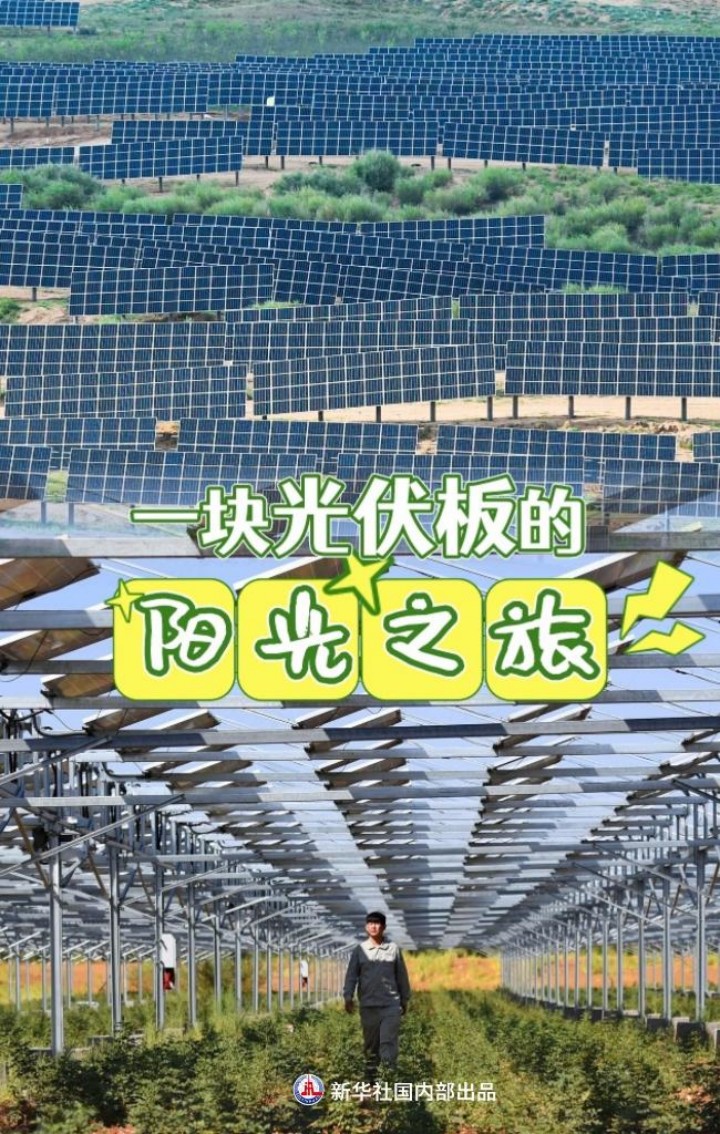 1129668990_16858945404061n_副本.jpg