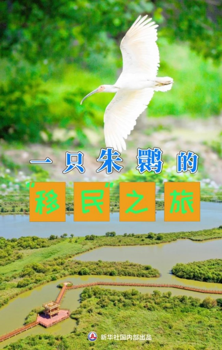 1129668990_16858946762461n_副本.jpg