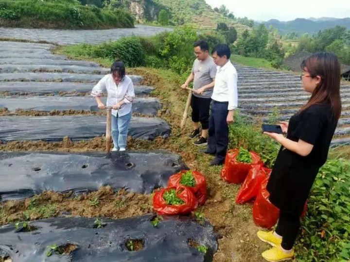 微信图片_20230920162304_副本.jpg