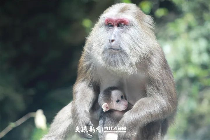微信图片_20231031104454.jpg