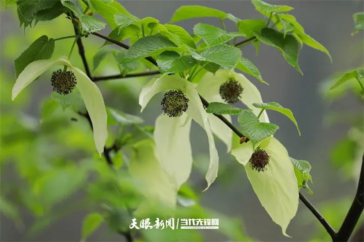 微信图片_20231031104504.jpg