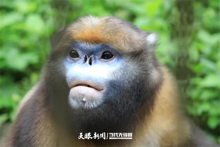 微信图片_20231031104527.jpg