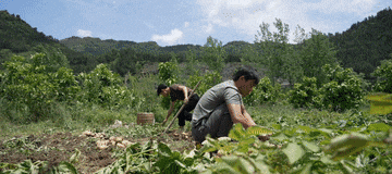 640 (2).gif