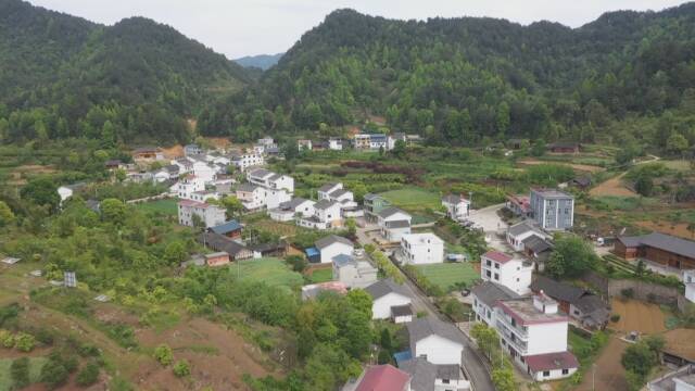 640.jpg
