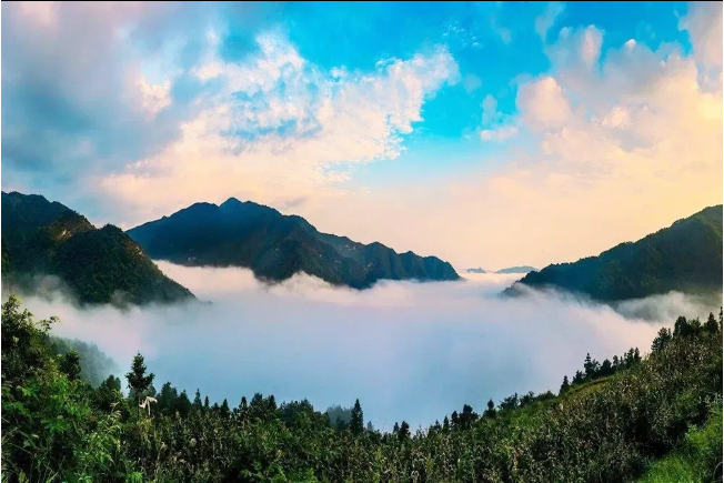 微信图片_20240724151022.png