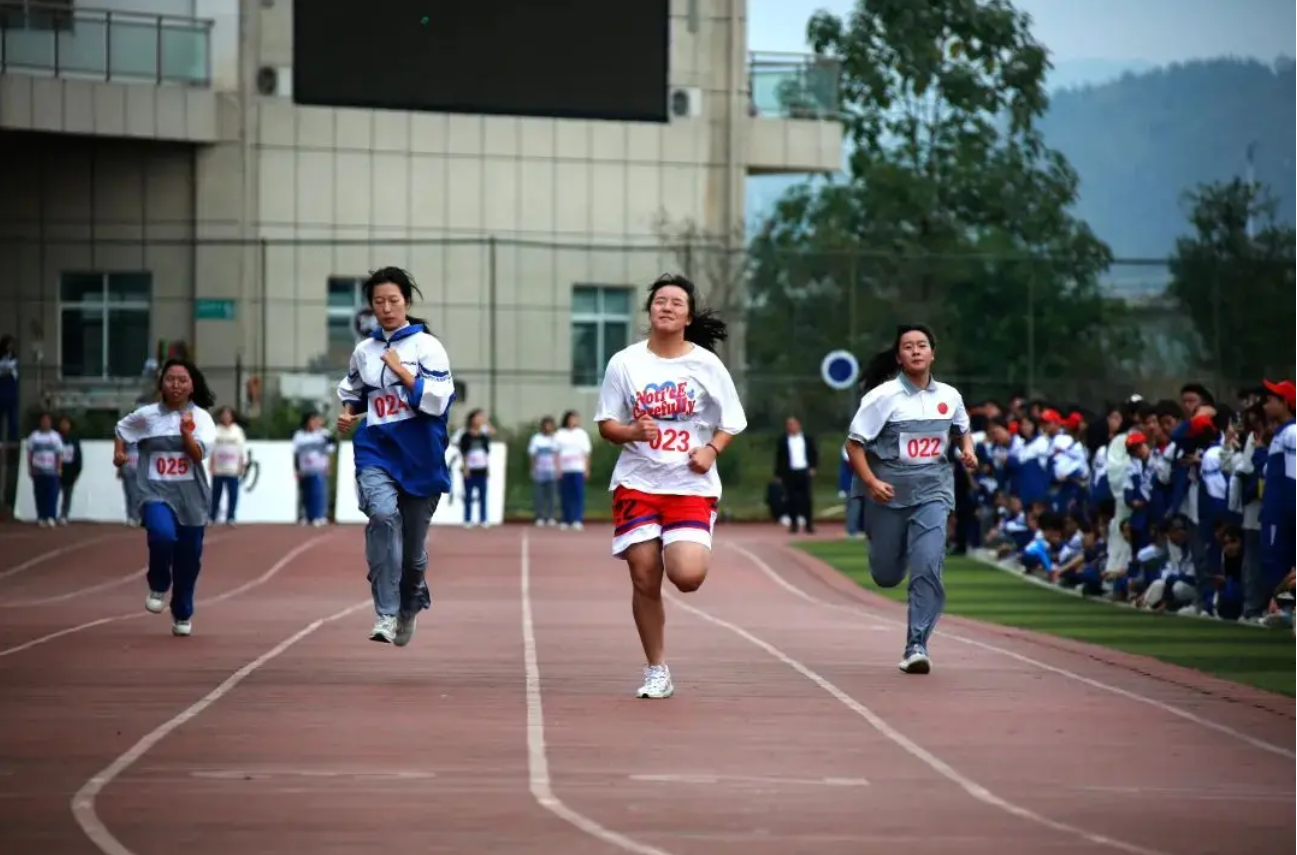 微信图片_20240912093621.png