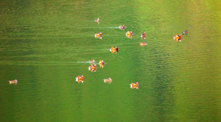 微信图片_20241108141147.png