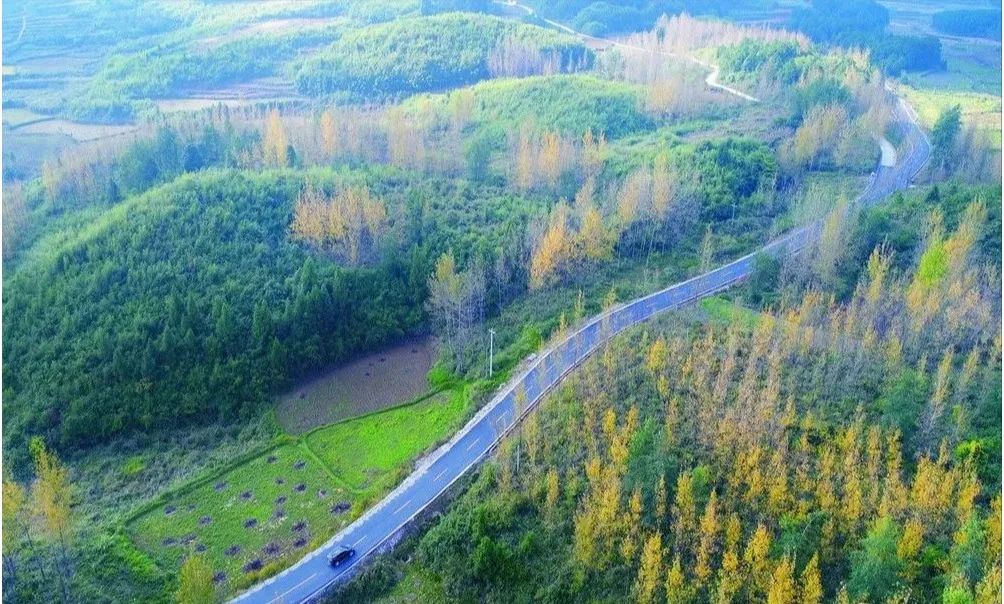 穿行于山间的农村公路.jpg