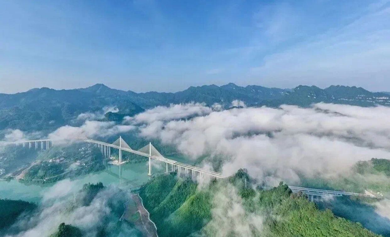 微信图片_20241212113651.png