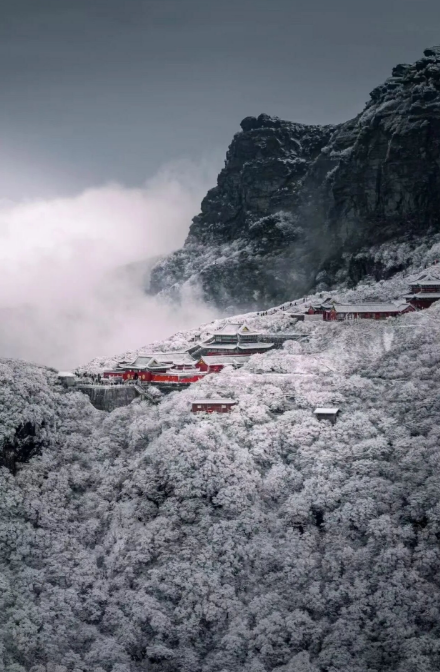 微信图片_20241220105835.png