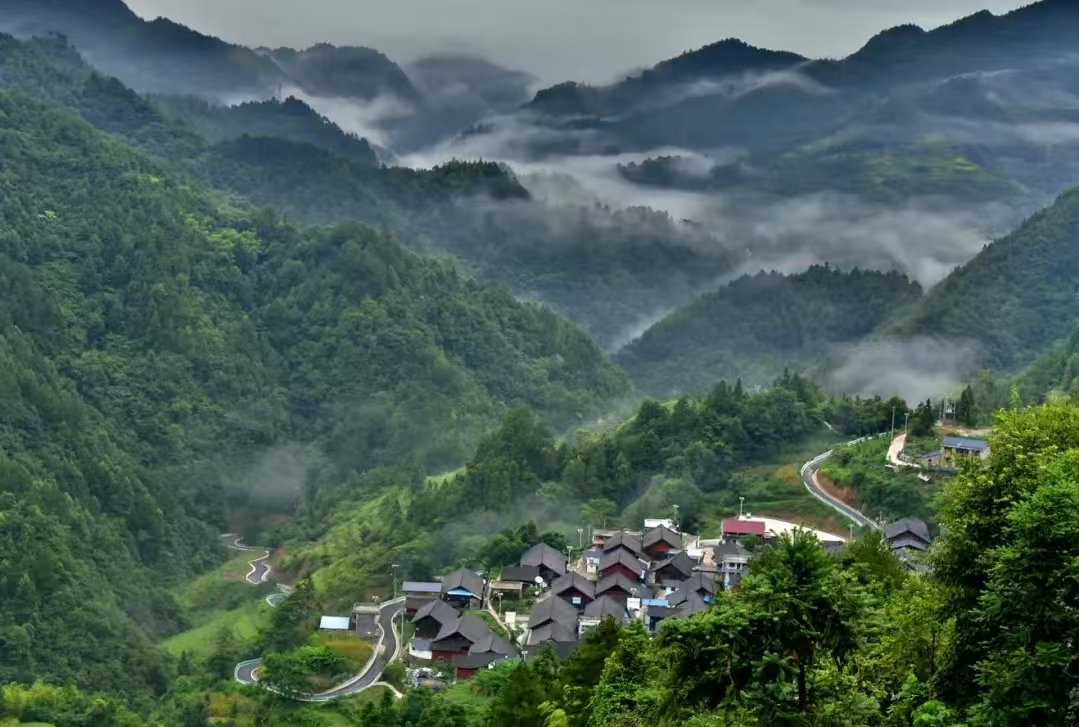 大湾村.jpg
