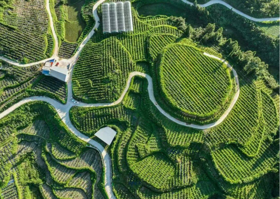 微信图片_20250304102831.png