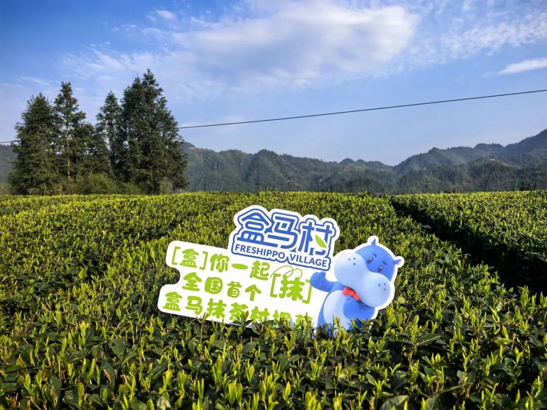 微信图片_20250507090612.jpg
