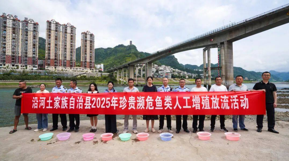 微信图片_20250612114743.png