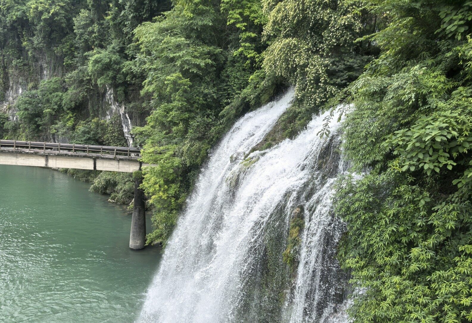 微信图片_2025-06-06_112953_018.jpg