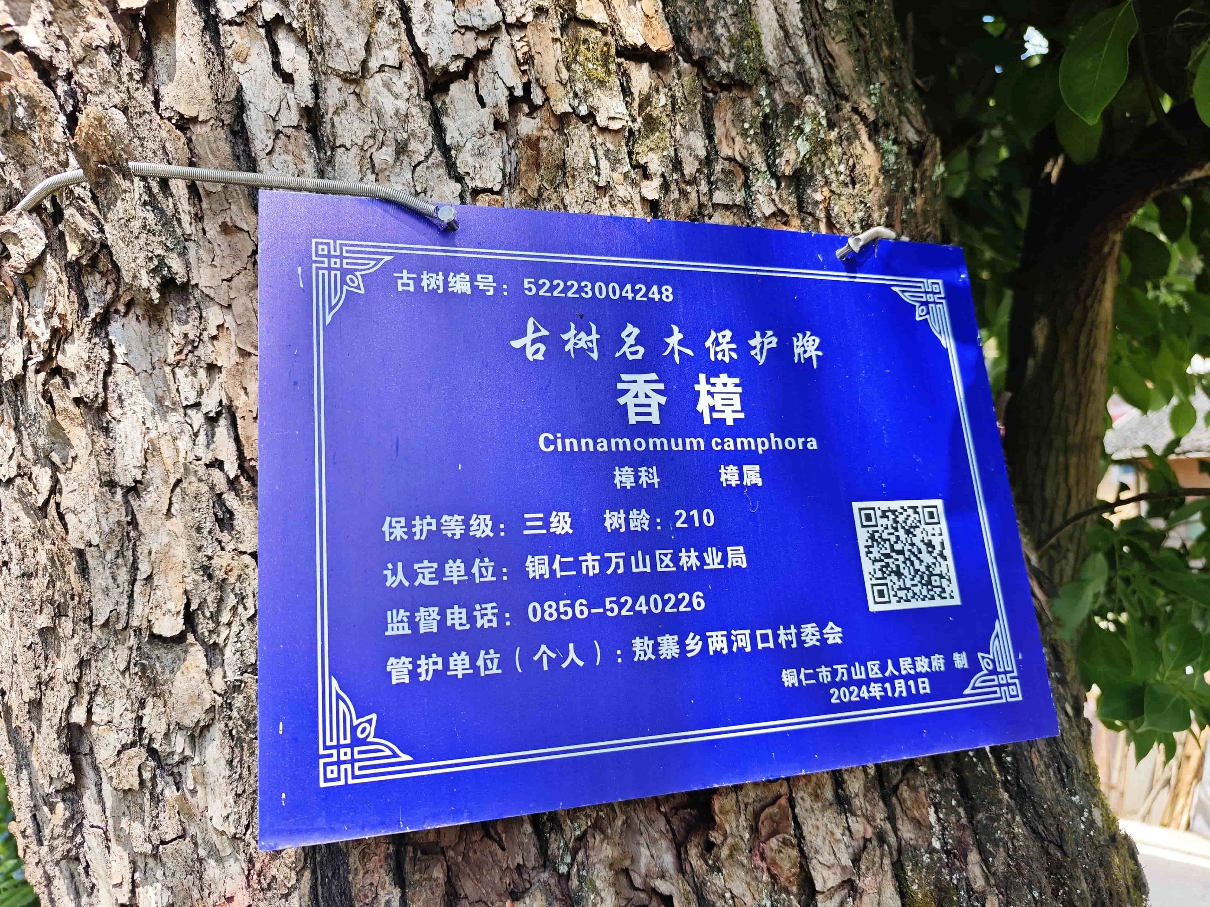 微信圖片_20250627100311.jpg