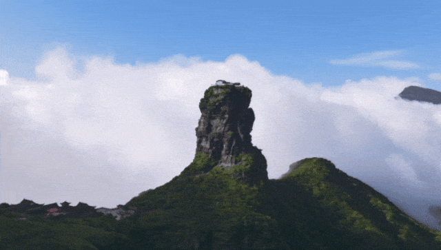 3.gif