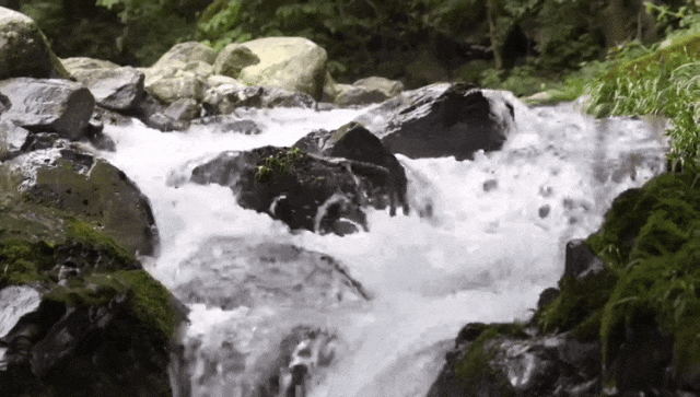 9.gif