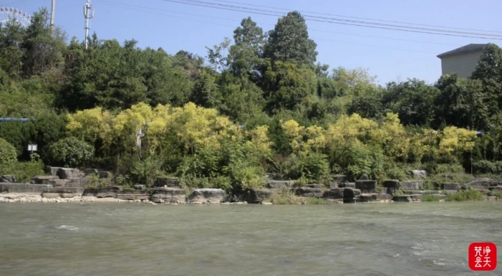 12.webp (1).jpg