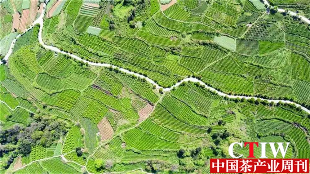 微信图片_20250801091722.jpg