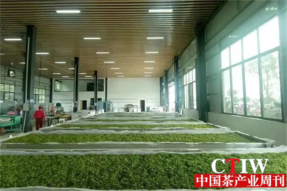 微信图片_20250801091741.jpg