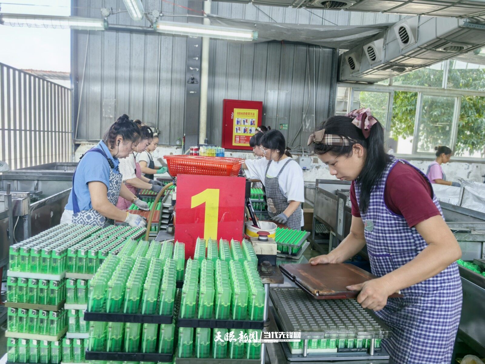 微信圖片_2025-08-04_211647_810.jpg
