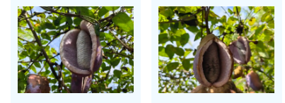 06.png