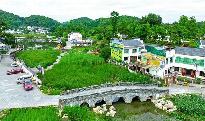 微信图片_2025-10-10_105125_229.jpg