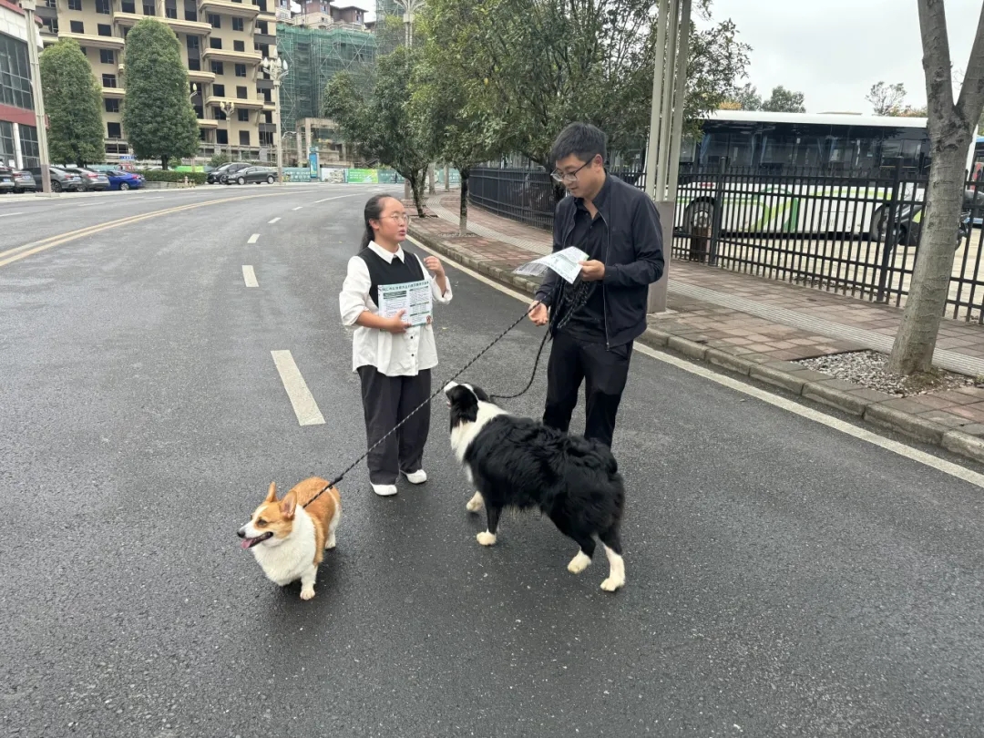 1761100965419417.jpg 1.webp.jpg