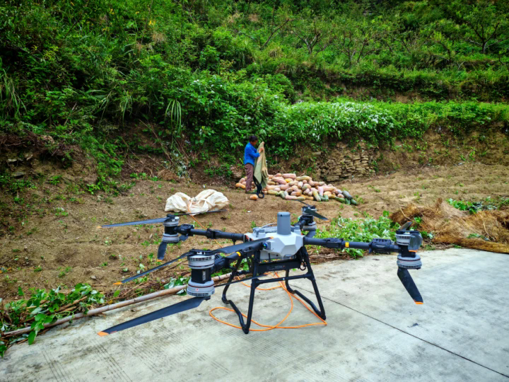 1761112573469373.png 01.webp.png