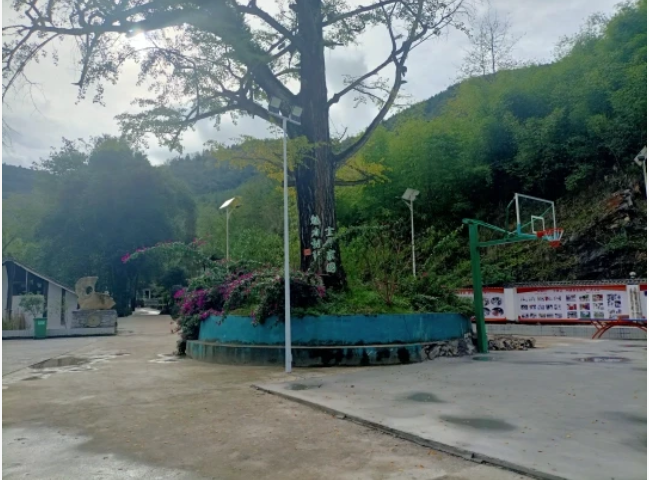 1761705539412875.png 31.png