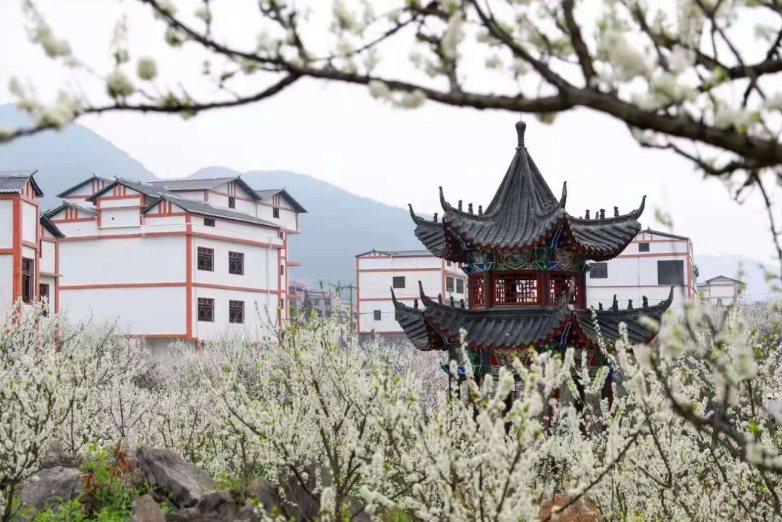 1761705765944629.png 36.png