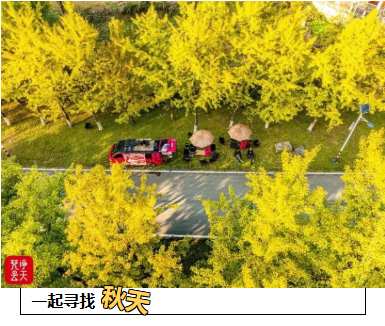 1761707218503987.png 3.png