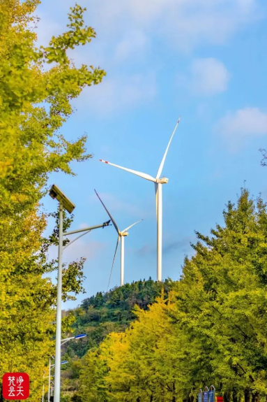 1761707248982936.png 33.png