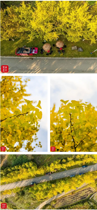 1761707288192523.png 3333.png